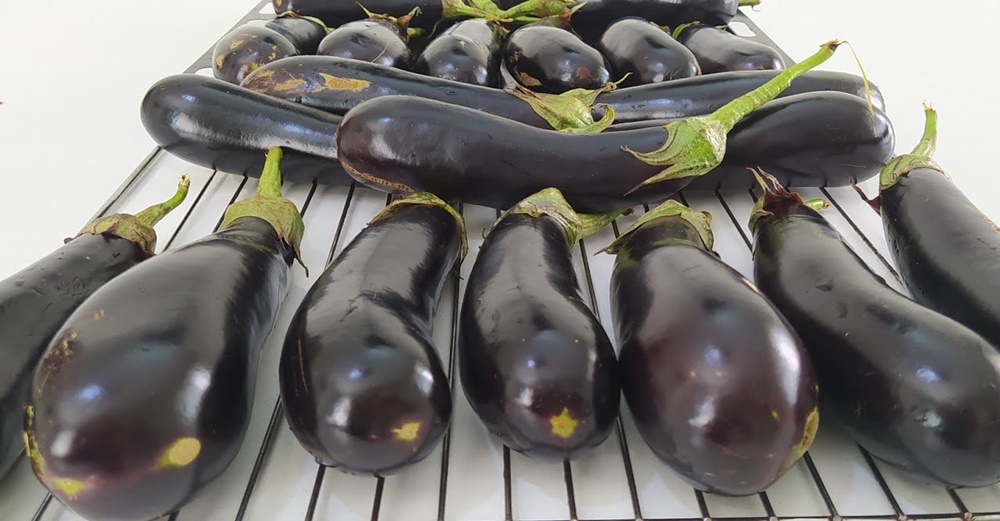 Her Sene Kilo Kilo Yapıyorum Kışın Rahat Ediyorum